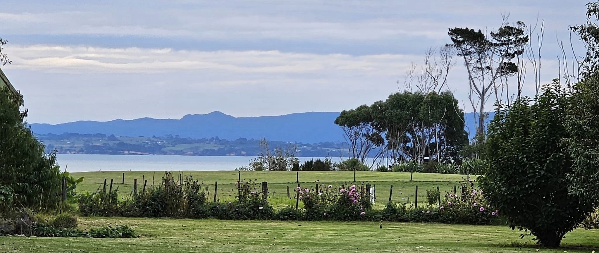 Character Home Builders in South Auckland & Franklin